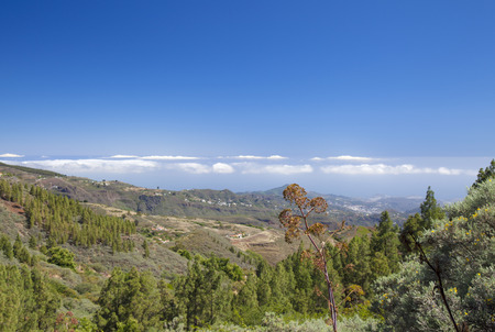 Gran Canaria,  June, view north east from Las Cumbres, the highest areas of the islandの写真素材
