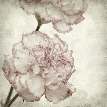 textured old paper background withの写真素材