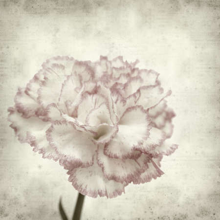 textured old paper background withの写真素材
