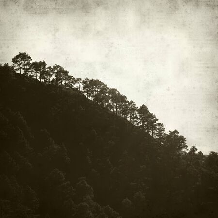 textured old paper background with town of pine forest of Tamadaba, Gran Canariaの写真素材