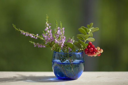 rustic still life with heather and lingonberry bunchの写真素材