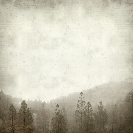 textured old paper background with central Gran Canaria pine forests after fire 2017の写真素材