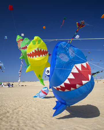 FUERTEVENTURA, SPAIN - NOVEMBER 11: Viewers watch from the ground as kites fill the sky at 30th International Kite Festival, November 11, 2017 in Nature park Dunes of Corralejo, Fuerteventura, Spainのeditorial素材