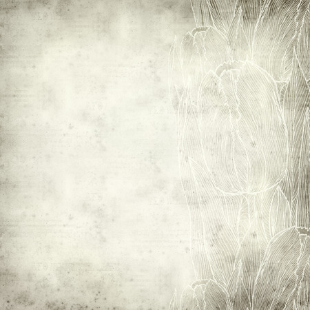 textured old paper background with tulip line drawing design の写真素材