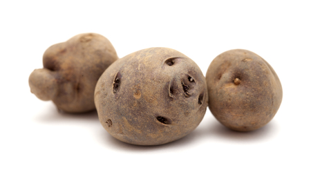 potatoes of Tenerife, Canary Islands, papa bonita, i.e. pretty potato, old variety of potatoes isolated on white backgroundの写真素材