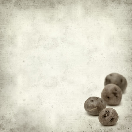 textured old paper background with small dark Canary Islands potatoes  papa bonita, i.e.e pretty potato, old variety of potatoesの写真素材