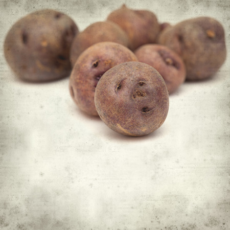 textured old paper background with small dark Canary Islands potatoes  papa bonita, i.e.e pretty potato, old variety of potatoesの写真素材