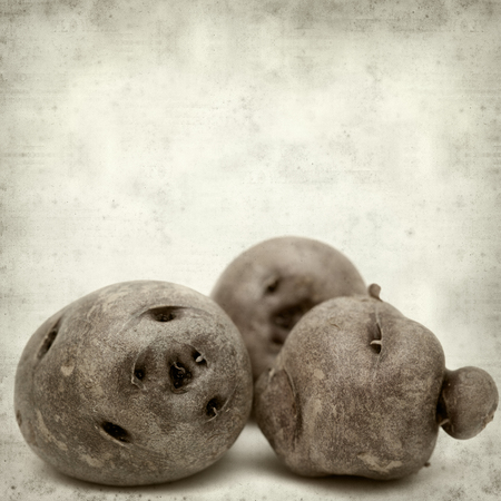 textured old paper background with small dark Canary Islands potatoes  papa bonita, i.e.e pretty potato, old variety of potatoesの写真素材