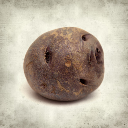textured old paper background with small dark Canary Islands potatoes  papa bonita, i.e.e pretty potato, old variety of potatoesの写真素材