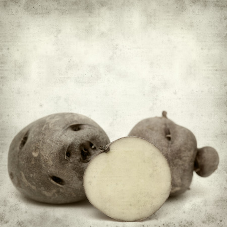 textured old paper background with small dark Canary Islands potatoes  papa bonita, i.e.e pretty potato, old variety of potatoesの写真素材