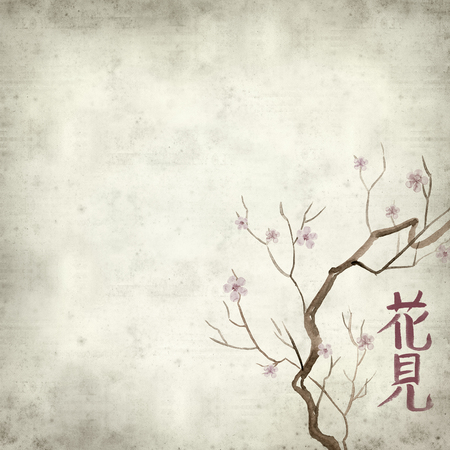 textured old paper background with japanese callygraphy Hanami - flower viewing, and watercolor spring flowersの写真素材