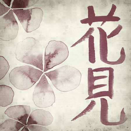 textured old paper background with japanese callygraphy Hanami - flower viewing, and watercolor spring flowersの写真素材