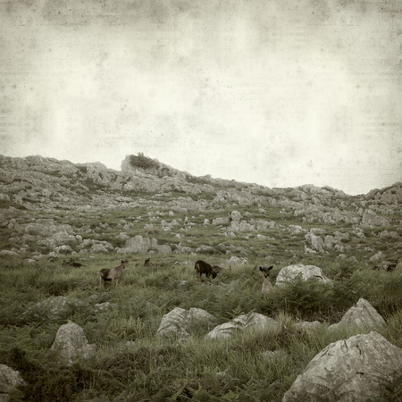 textured old paper background with landscape of Cantabria, Northern Spainの写真素材
