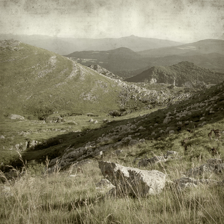 textured old paper background with landscape of Cantabria, Northern Spainの写真素材