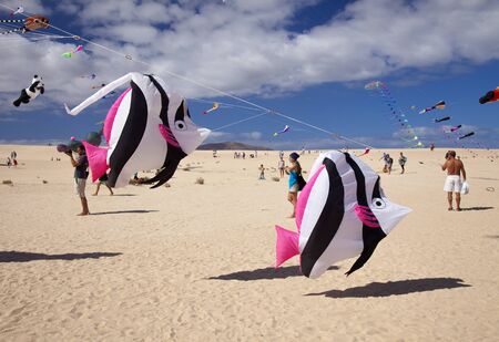 FUERTEVENTURA, SPAIN - NOVEMBER 10: Visitors enjoy beautiful display of flying kites of  at 31th...
