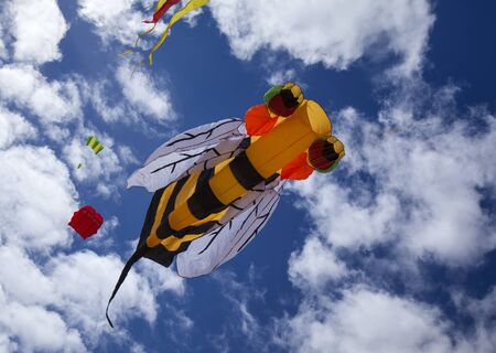 FUERTEVENTURA, SPAIN - NOVEMBER 10: Visitors enjoy beautiful display of flying kites of  at 31th International Kite Festival, November 10, 2018 in Nature park Dunes of Corralejo, Fuerteventura, Spainのeditorial素材