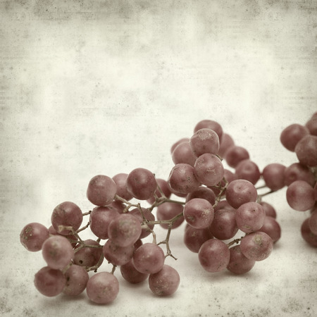 textured old paper background with pink peppercorn tree fruitの写真素材