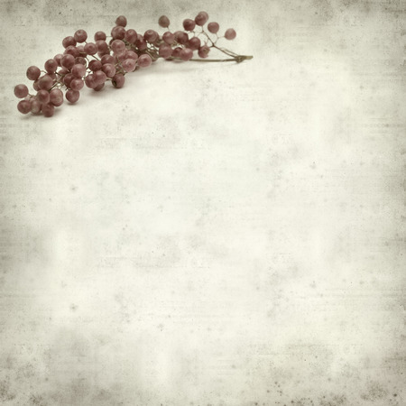 textured old paper background with pink peppercorn tree fruitの写真素材
