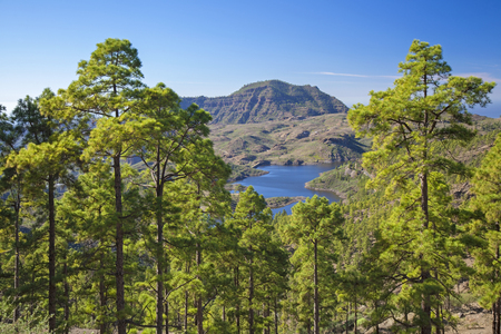 Gran Canaria, December, view from a hiking path in Inagua strict nature reserve towards freshwater reservoir Presa de Las Ninasの写真素材
