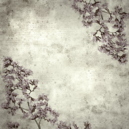 textured stylish old paper background, square, with small pale lilac flowers of Limoniumの写真素材