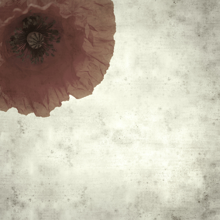 textured stylish old paper background, square, with red poppyの写真素材