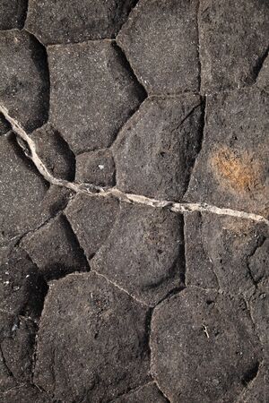 Gran Canaria, La Isleta peninsula, volcanic rock formations by the ocean shoreの写真素材