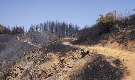 Gran Canaria after wild fire of August 2019, walking route La Cruz de Tejeda - Artenara,  Canarian...