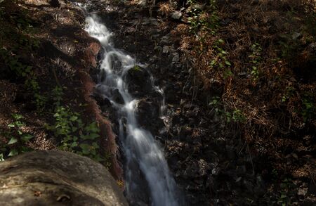 Gran Canaria, Barranco de los Cernicalos ravine, small stream constantly running through keeping the...