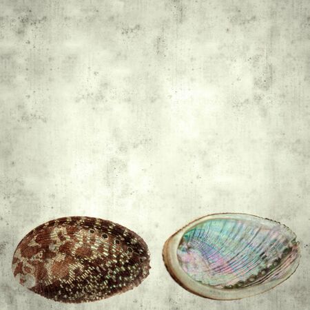 textured stylish old paper background, square, with green ormer Haliotis tuberculata  shell