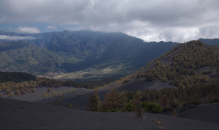 La Palma, landscape of the central part of the island, in El Paso municipality
black dunes of volcanic ash produced by 2021 volcano,  Canary Pines with yellow needles still standinの写真素材