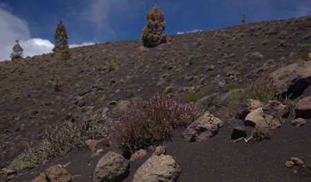 La Palma, long-range popular hiking route Ruta de Los Volcanes, landscapes around 
black crater of Hoyo Negro, i.e Black Hole, formed in 1949の写真素材