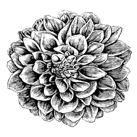 Beautiful tattoo exotic flowerのイラスト素材