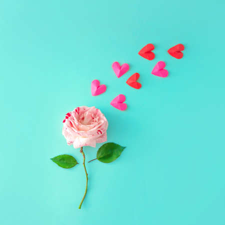 The rose from which hearts come out. Blue background. Minimalism.の写真素材
