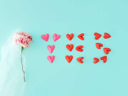 Pink rose getting married. And he says YES. Wedding. Blue background.