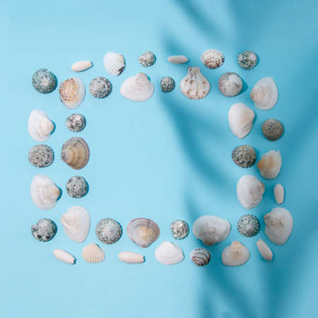 Frame of sea shells. A place to write text. Blue background with palm shade.
