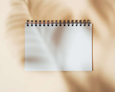 Shadows of palm leaves on a white notebook sheet. Place for text. Silhouettes of leaves on a nude background.の写真素材