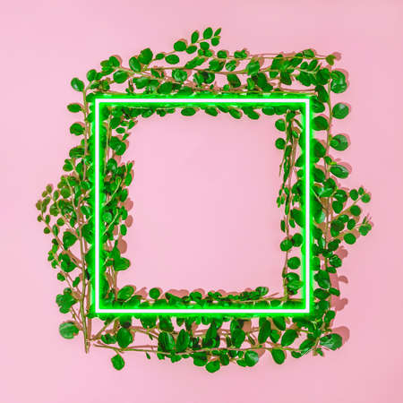 Neon frame made of green leaves. A place to write text. Pink wallpaper.の写真素材