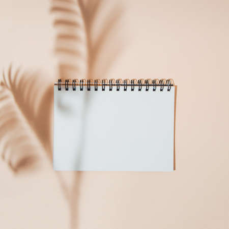 Shadows of palm leaves on a white notebook sheet with space for text. Silhouettes of leaves on a nude background.の写真素材