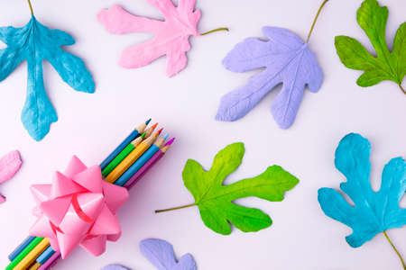 School supplies with autumn colorful leaves in pastel colors. Creative, autumn and school composition.の写真素材