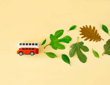 Autumn leaves get off the school bus. Flat bed. Creative concept of autumn and school.の写真素材