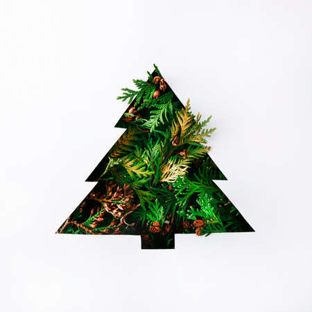 Christmas tree concept with copy space. Creative winter layout made from evergreen tree branches....