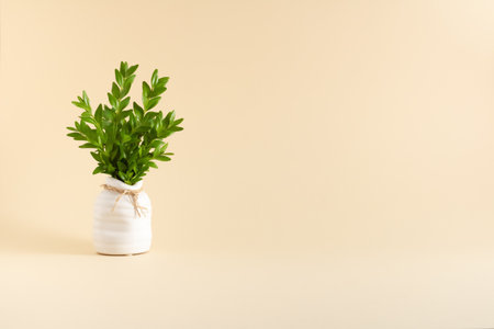 A pearl vase with leaf branches on bright gentle backgroundの写真素材