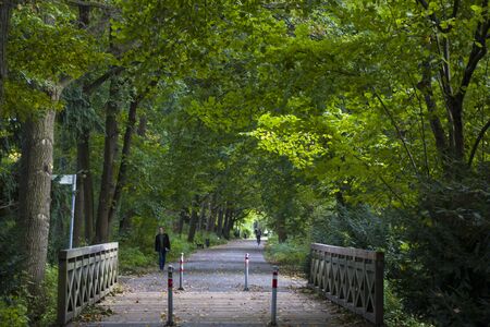 People walking in park of Berlin, water, trees and autumn time, urban recreation. Germany park and people walking and ran.の写真素材