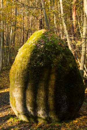 Europos parkas, Space of Unknown Growth in Vilniusのeditorial素材