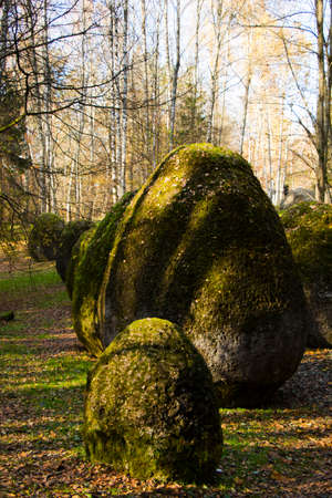 Europos parkas, Space of Unknown Growth in Vilniusのeditorial素材