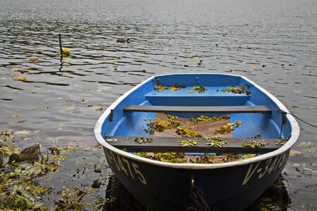 Old wooden boats near the beach of Trakai Gavle lake , Lithuania. Autumn and fall time.の写真素材