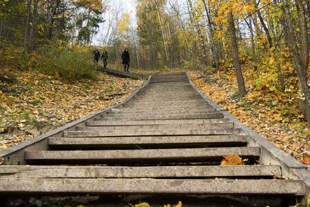 Autumn and fall park and forest trees leaves. Yellow and orange colors in nature. Lithuania