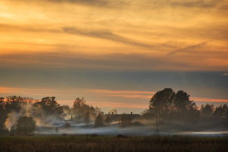 Village houses and forest, mist and fog in valley at the sunset time, agriculture scene, in Europeの写真素材