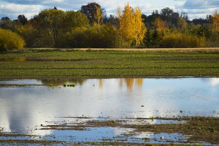 Landscape of the valley in Europe, Cloudy sky and autumn colors, trees and horizon.の写真素材