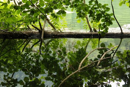 Bateti lake in mountains of Georgia, Khareli. Forest, green colors, sunset and reflections on the water.の写真素材